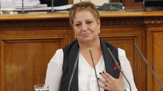Депутат от ГЕРБ към Златева: Уволнявахте областни, а Боршош го оставихте
