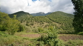Спасиха 10 деца загубили се в гората