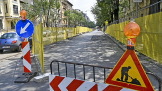Дърво се срути върху жена на бул. "Дондуков"