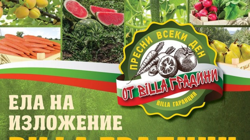 Български земеделци представят продукцията си пред 9 BILLA магазинa | StandartNews.com