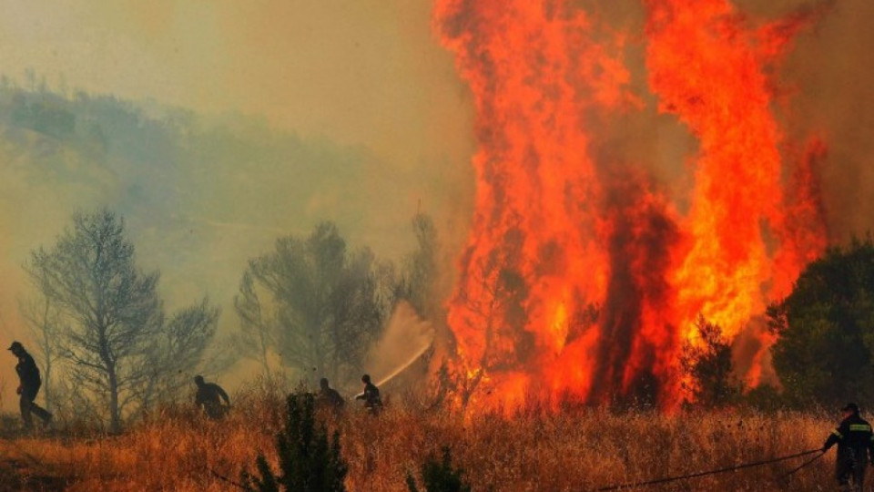 1000 лв. глоба за палене на огън в гората | StandartNews.com