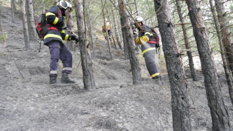 Овладяха пожара на Шуменското плато | StandartNews.com