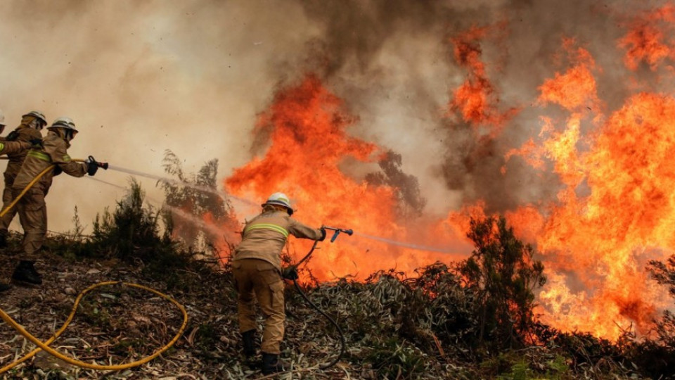 Външно пак предупреди за пожарите в Гърция | StandartNews.com