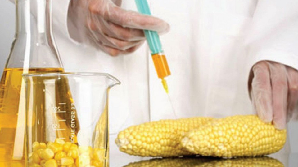 Вдигат глобите за вредни и ГМО храни | StandartNews.com