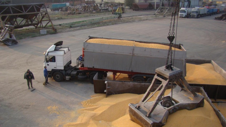 Над 1.373 млн. тона зърно изнесохме през порт Варна | StandartNews.com