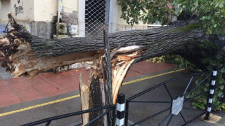 Буря помете и остави без ток Северозапада