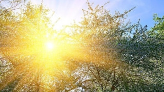Лятото се завърна, слънцето напича и морския бряг