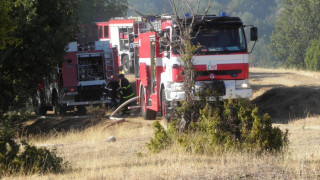 7 вили са опожарени край Хисаря 