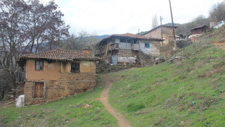 Задържаха дядо заради канабис в нивата му