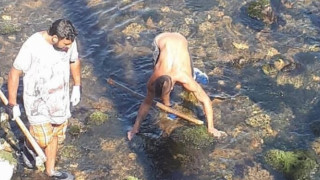Бракониери замерят с камъни инспектори на ИАРА