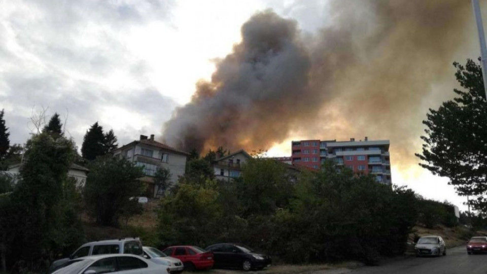 Пожар за мача на Стоичков и приятели | StandartNews.com
