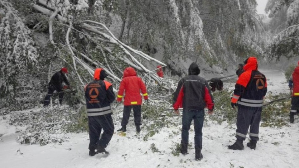 Снегът събори дървета на "Петрохан" | StandartNews.com
