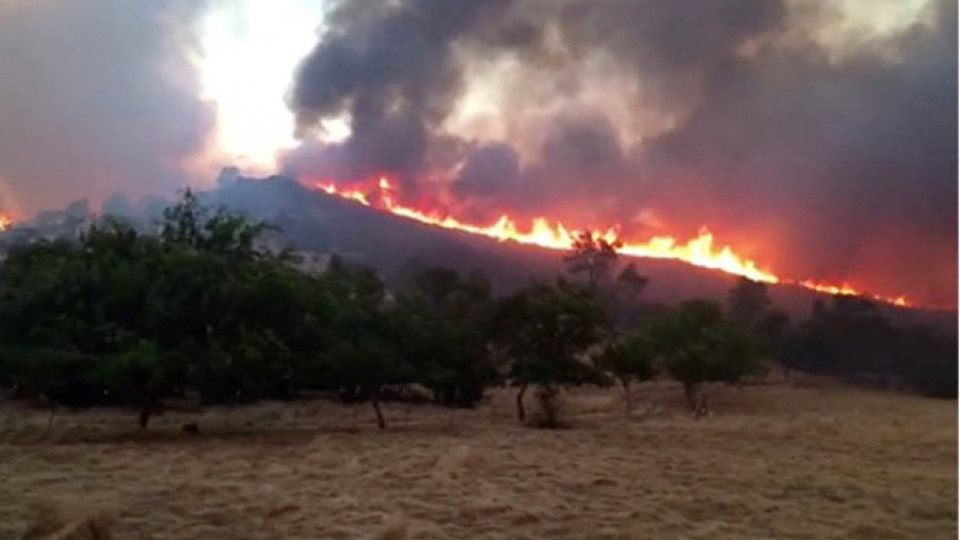 Повече от 20 000 души са евакуирани в Калифорния заради горски пожари | StandartNews.com