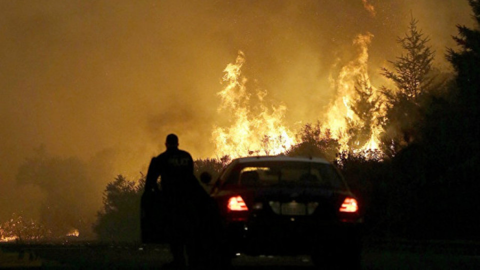 Пожарите в Калифорния убиха 17 души и унищожиха около 3,5 хиляди сгради | StandartNews.com