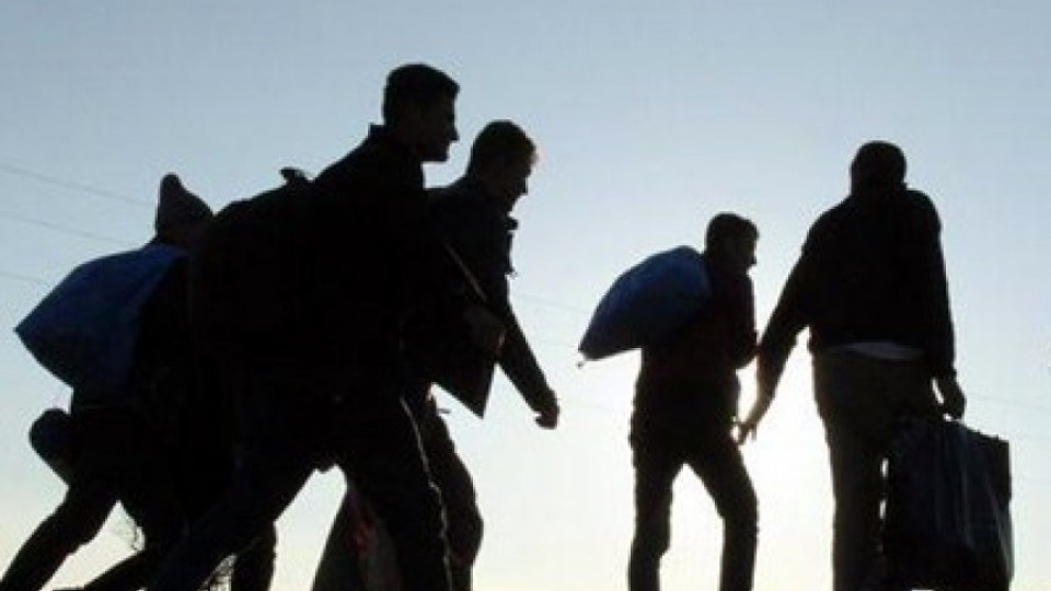 Спипаха 13 мигранти в български камион в Македония | StandartNews.com