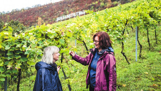 Българска снаха бори ерозията в лозята на Саксония-Анхалт