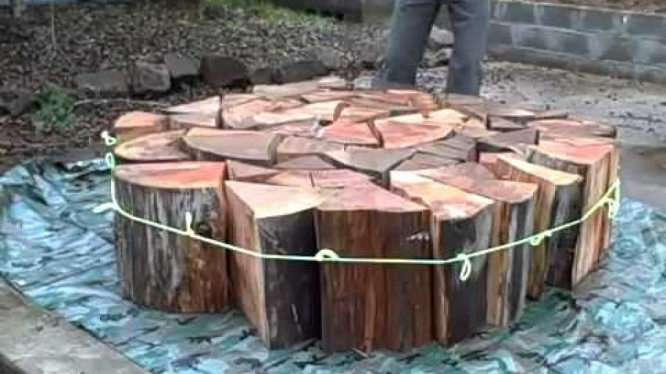 НАСАМ, НАРОДЕ! Раздават безплатно дърва на социално слаби | StandartNews.com
