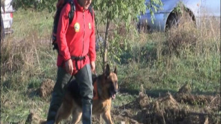 3 дни след бедствието:  Ни вест, ни кост от баба Стоянка /ОБЗОР/