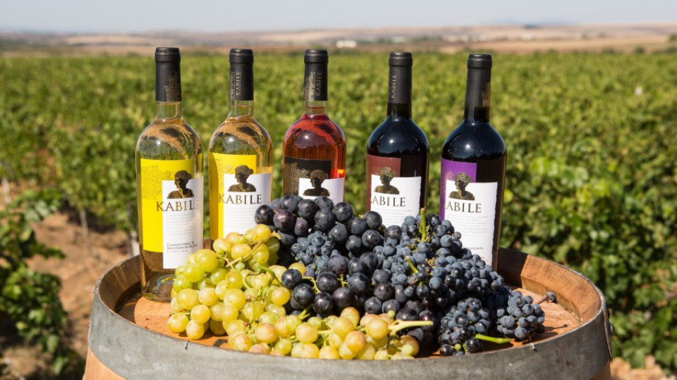 „Вила Ямбол" лансира ново вино в серията KABILE от Сира | StandartNews.com