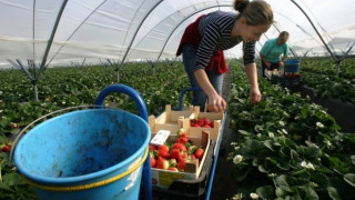 Емигранти пратиха над 600 млн. евро