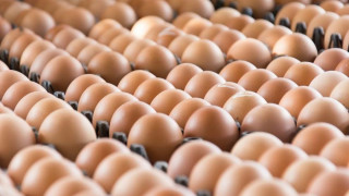 Яйцата скочиха преди празниците