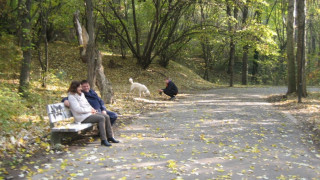 Жълт код за силен вятър в 26 области днес 