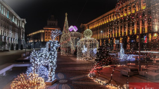 Елхата в София грейва с 30 000 лампички