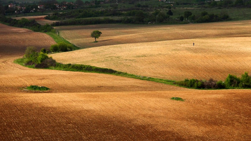 Разкриха олигопол над нивите в България | StandartNews.com