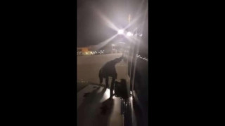 Изнервен пасажер излезе от самолета през аварийния изход