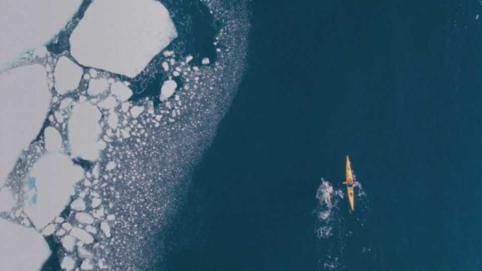 Природозащитник преплува километър в Северния ледовит океан заради климатичните промени | StandartNews.com