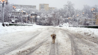 Времето в България: 7 см сняг и -6 градуса
