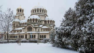 Студ