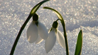 До 8 градуса в Южна България