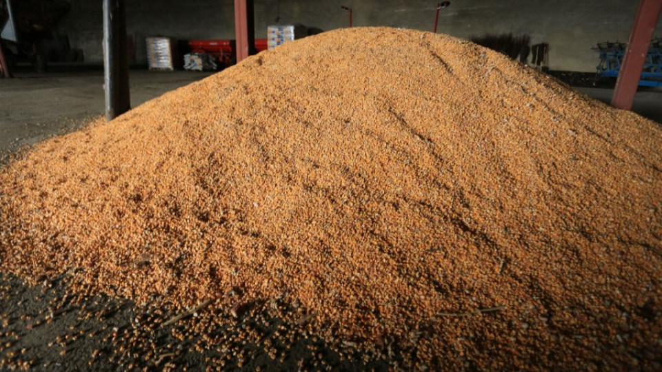 Цената на пшеницата пълзи нагоре | StandartNews.com