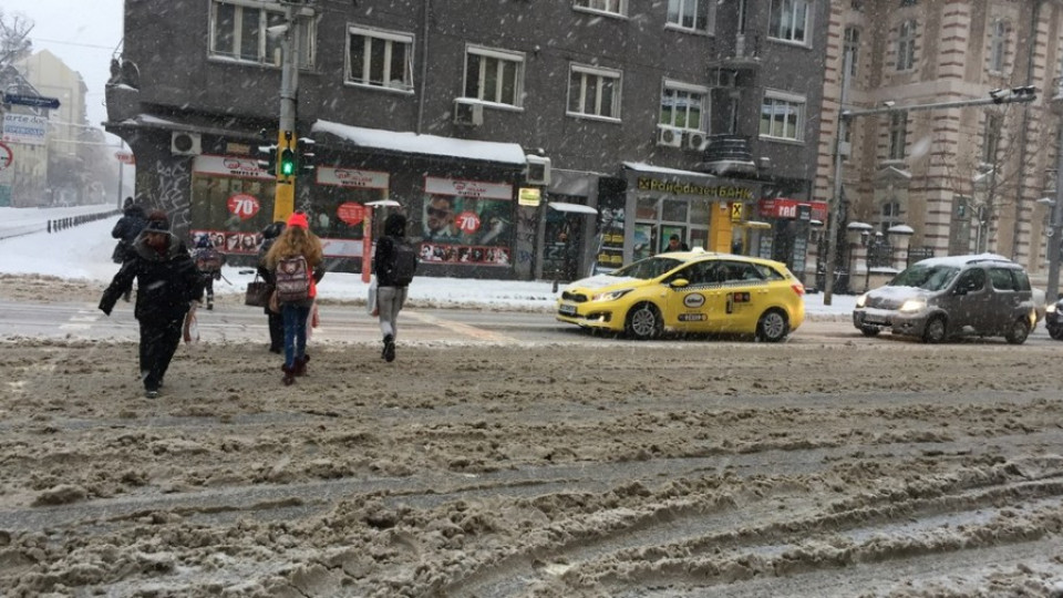 Затварят „синя” и „зелена зона” в София заради снега  | StandartNews.com
