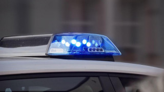 Подозират нападение на кучета за смъртта на българка в Кипър