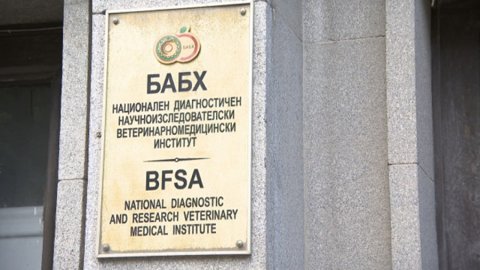 Доказаха птичи грип при умъртвени птици | StandartNews.com