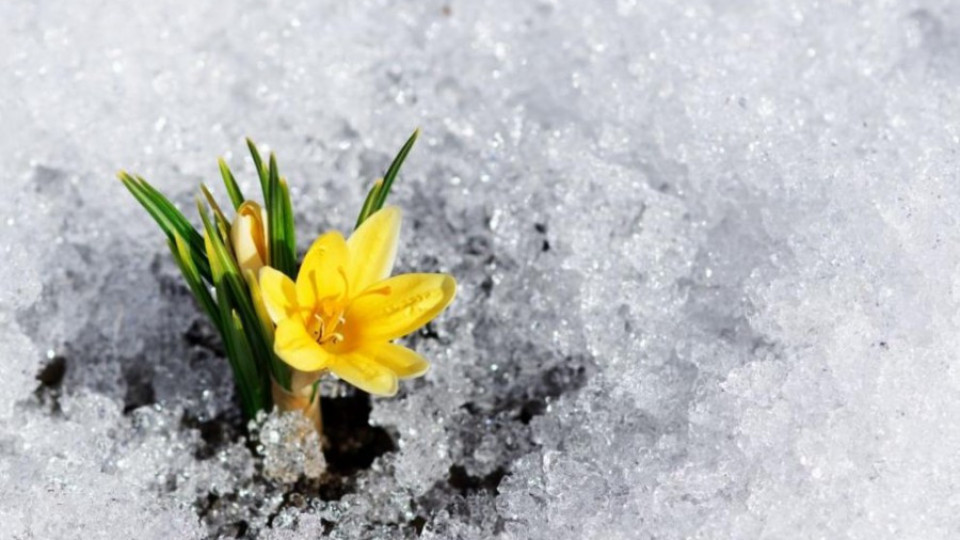 Пролетта идва със ... зима | StandartNews.com