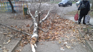 Ураганът потроши коли и покриви във Враца
