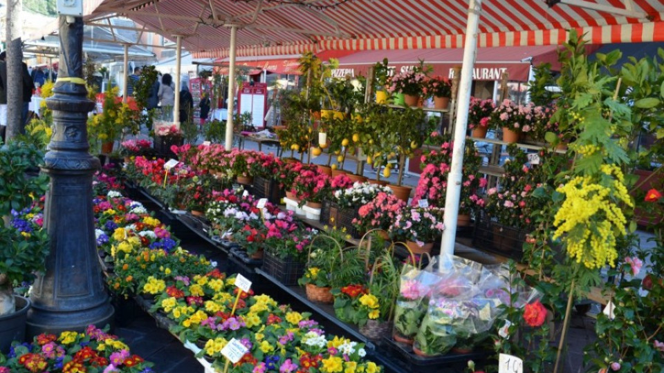 Посрещаме пролетта с цветен фермерски пазар | StandartNews.com