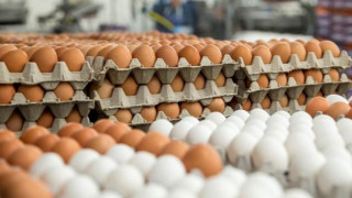 Засилени проверки на БАБХ за Великден