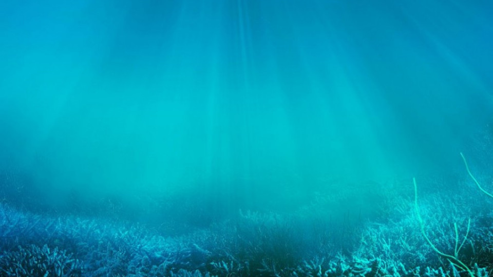 Учени откриха „зона на здрача“ в океана | StandartNews.com