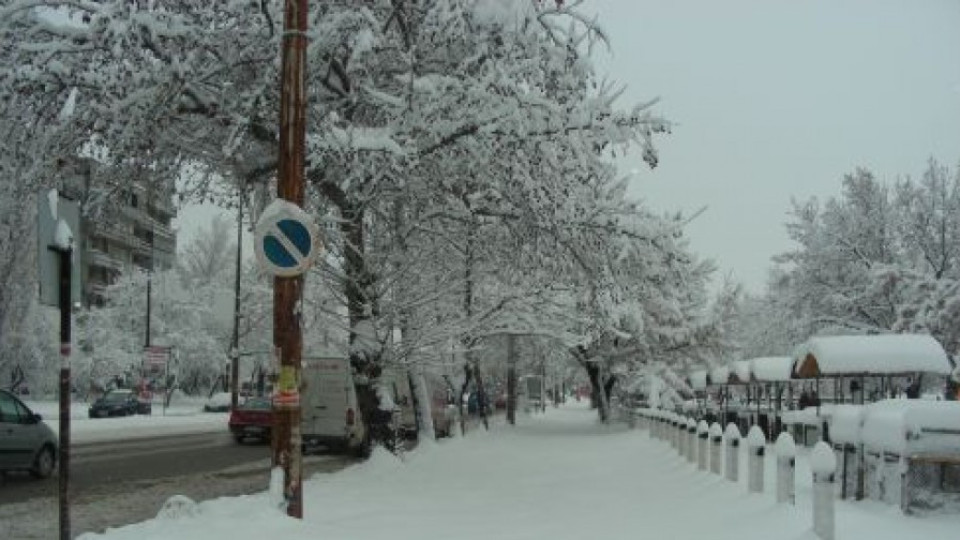 Видин обяви бедствено положение заради снега | StandartNews.com