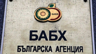 БАБХ: Ще търсим конете при по-хубаво време
