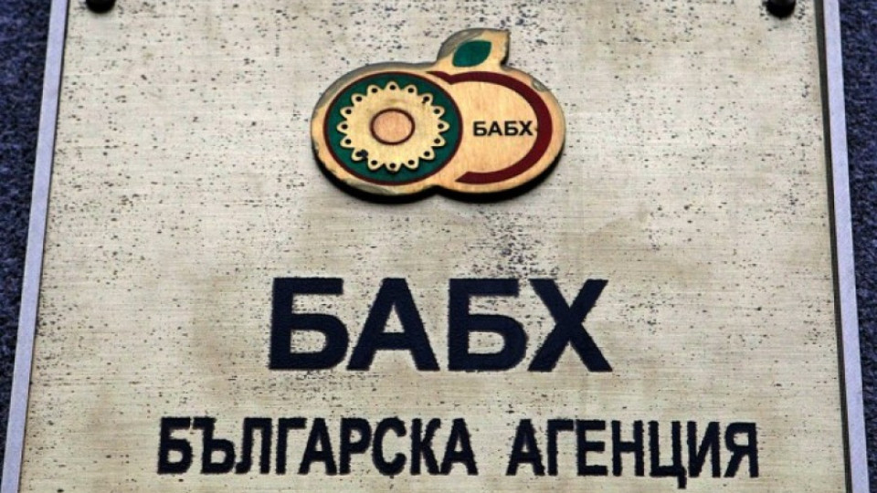 БАБХ: Ще търсим конете при по-хубаво време | StandartNews.com