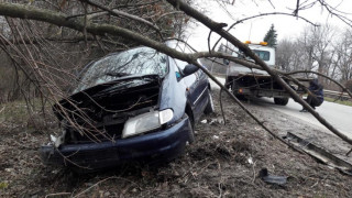 3500 души загиват всеки ден в катастрофи по света 