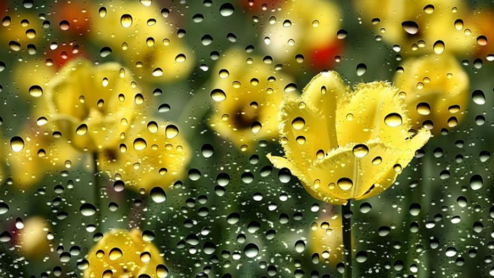 Дъждовно и на Велика събота | StandartNews.com