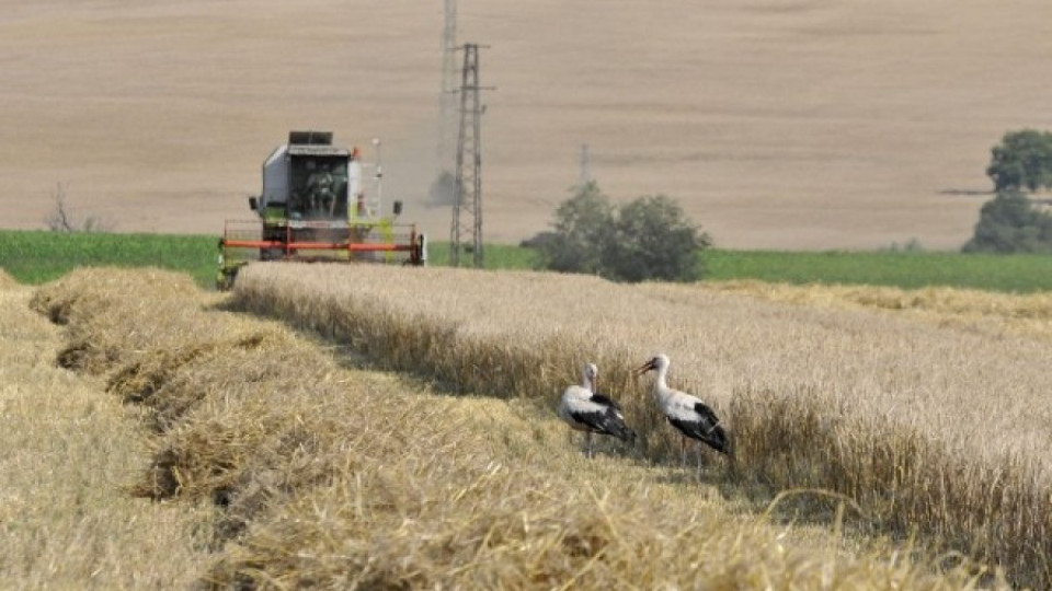 Земеделската земя поскъпна с 5% | StandartNews.com
