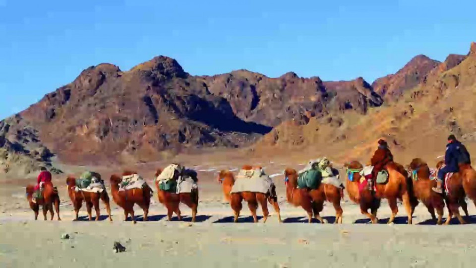 Смела авантюристка тръгна с керван камили от Улан Батор към Лондон  | StandartNews.com