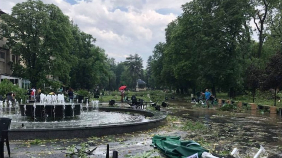 Частично бедствено положение е обявено за Община Плевен след силната буря вчера | StandartNews.com